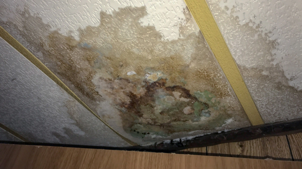 blog water damage restoration